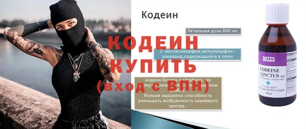 гашик Костерёво