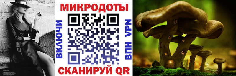 blacksprut ONION  Коркино  нарко площадка состав  Псилоцибиновые грибы ЛСД 