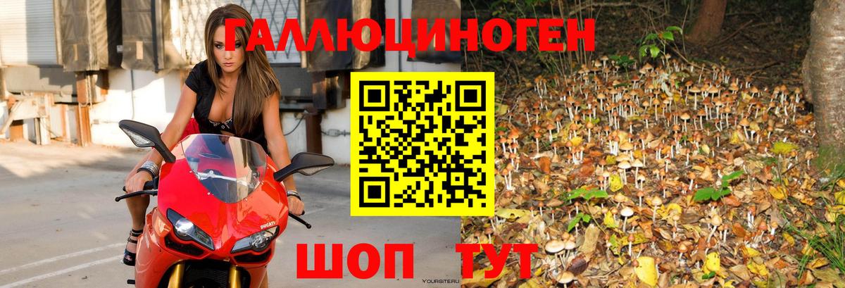 Галлюциногенные грибы мицелий  Псилоцибиновые грибы Magic Shrooms  Вход с VPN  Коркино 