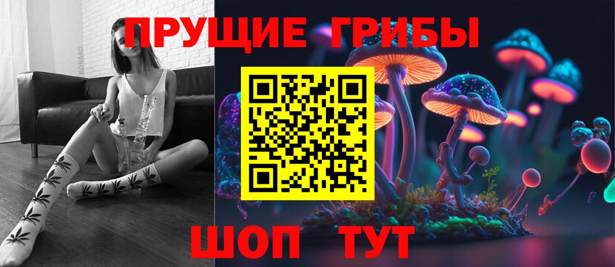 Галлюциногенные грибы Psilocybine cubensis Коркино